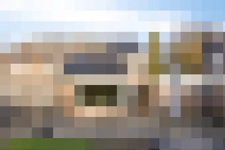 Zwanendreef 20 Aarle-Rixtel thumbnail 6