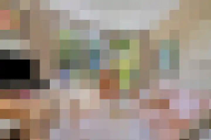 Zwanendreef 30 Aarle-Rixtel thumbnail 12