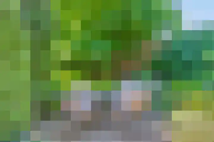 Zwanendreef 30 Aarle-Rixtel thumbnail 38