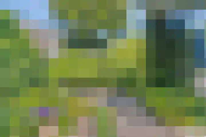Zwanendreef 30 Aarle-Rixtel thumbnail 39