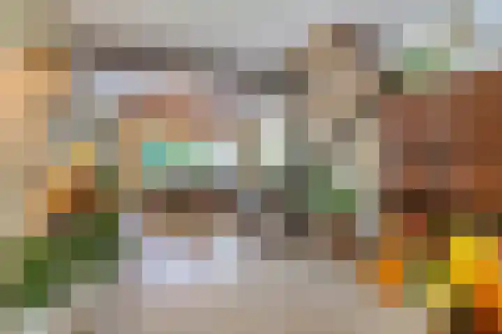 Zwanendreef 30 Aarle-Rixtel thumbnail 8