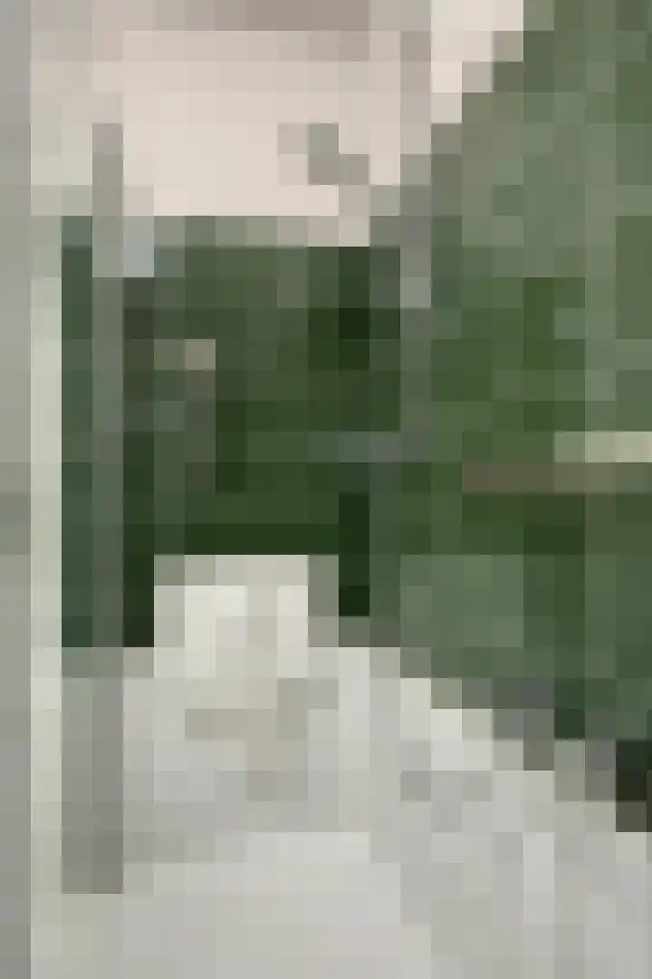 Zwanendreef 32 Aarle-Rixtel thumbnail 31