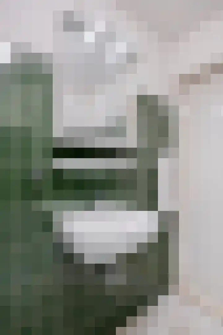 Zwanendreef 32 Aarle-Rixtel thumbnail 32