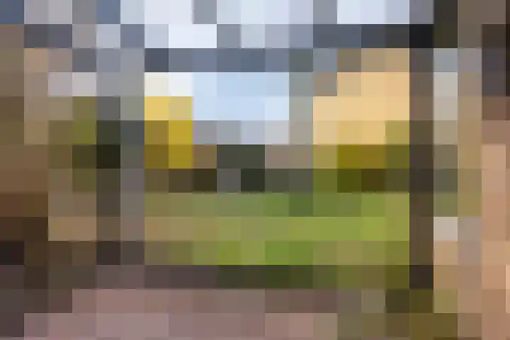 Zwanendreef 32 Aarle-Rixtel thumbnail 37