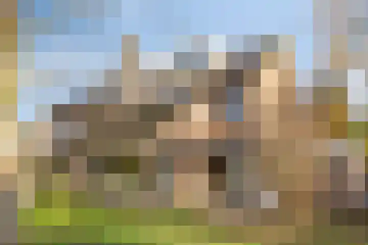 Zwanendreef 32 Aarle-Rixtel thumbnail 38