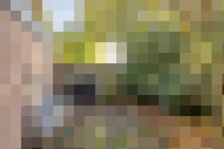 Zwanendreef 32 Aarle-Rixtel thumbnail 43