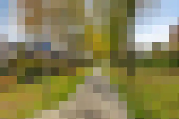 Zwanendreef 32 Aarle-Rixtel thumbnail 45
