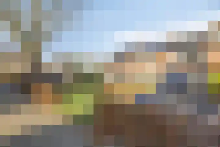 Zwanendreef 32 Aarle-Rixtel thumbnail 46