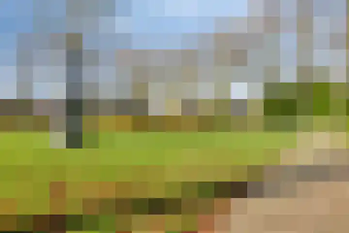 Zwanendreef 32 Aarle-Rixtel thumbnail 47