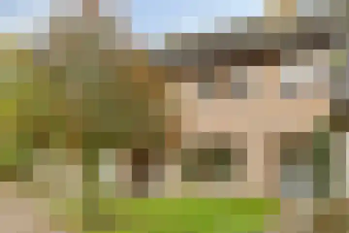 Zwanendreef 32 Aarle-Rixtel thumbnail 7