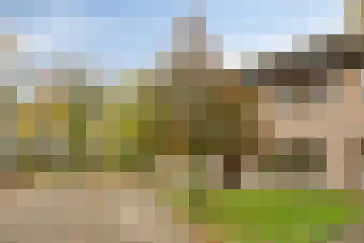 Zwanendreef 32 Aarle-Rixtel thumbnail 8