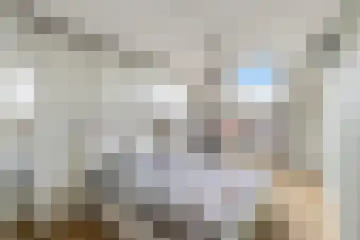 Zwanendreef 4 Stolwijk thumbnail 18
