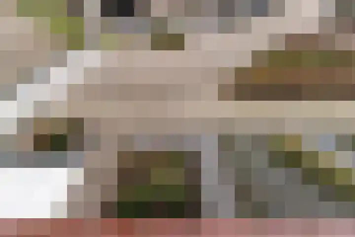 Zwanendreef 4 Stolwijk thumbnail 22