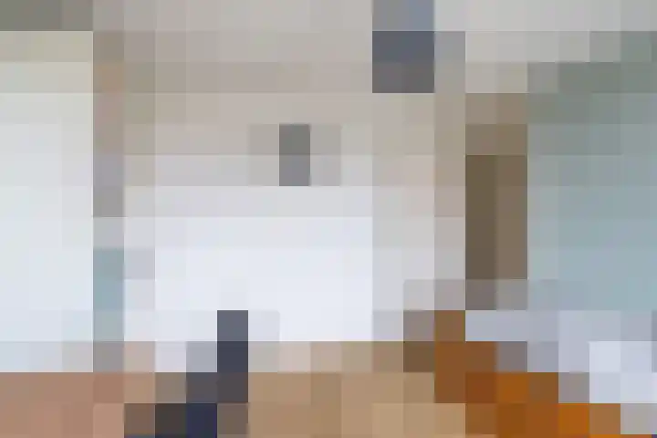 Zwanendreef 4 Stolwijk thumbnail 24