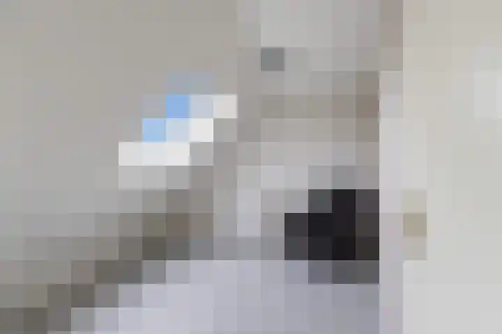 Zwanendreef 4 Stolwijk thumbnail 33