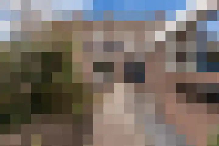 Zwanendreef 4 Stolwijk thumbnail 45