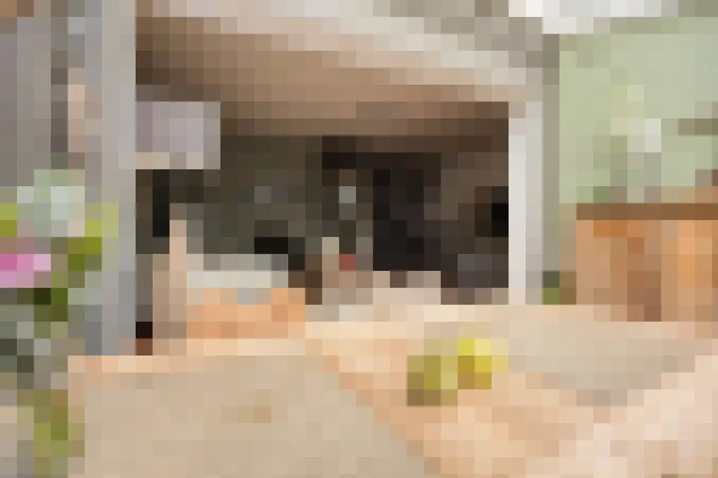 Zwanendreef 6 Stolwijk thumbnail 12