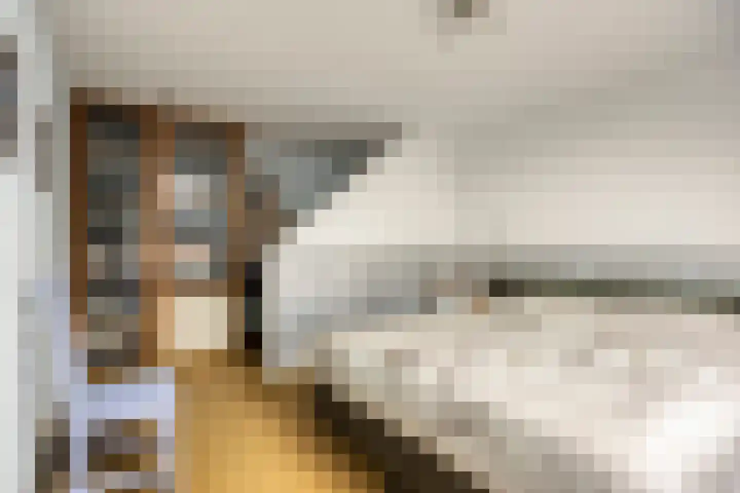 Zwanendreef 6 Stolwijk thumbnail 19