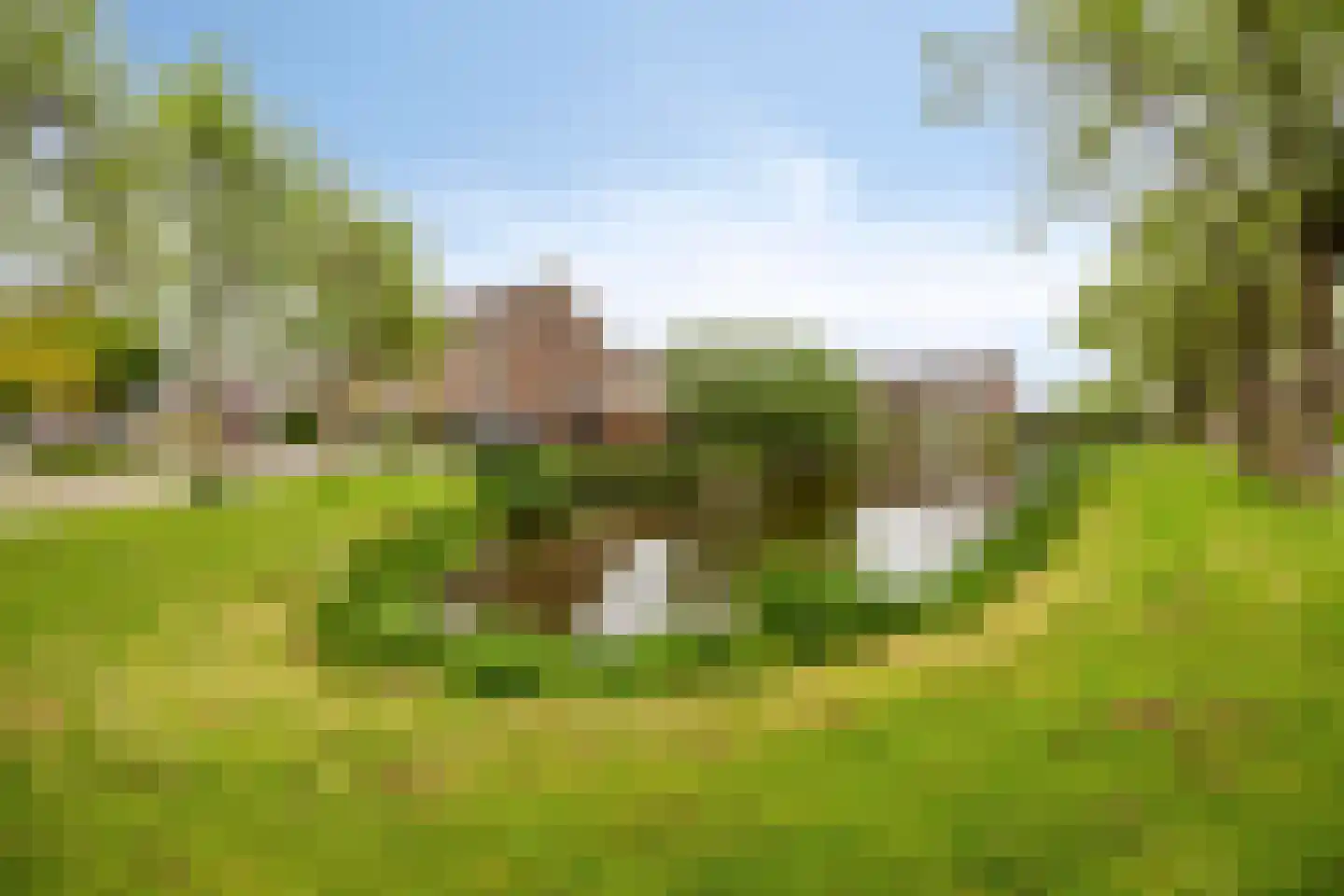 Zwanendreef 6 Stolwijk thumbnail 35