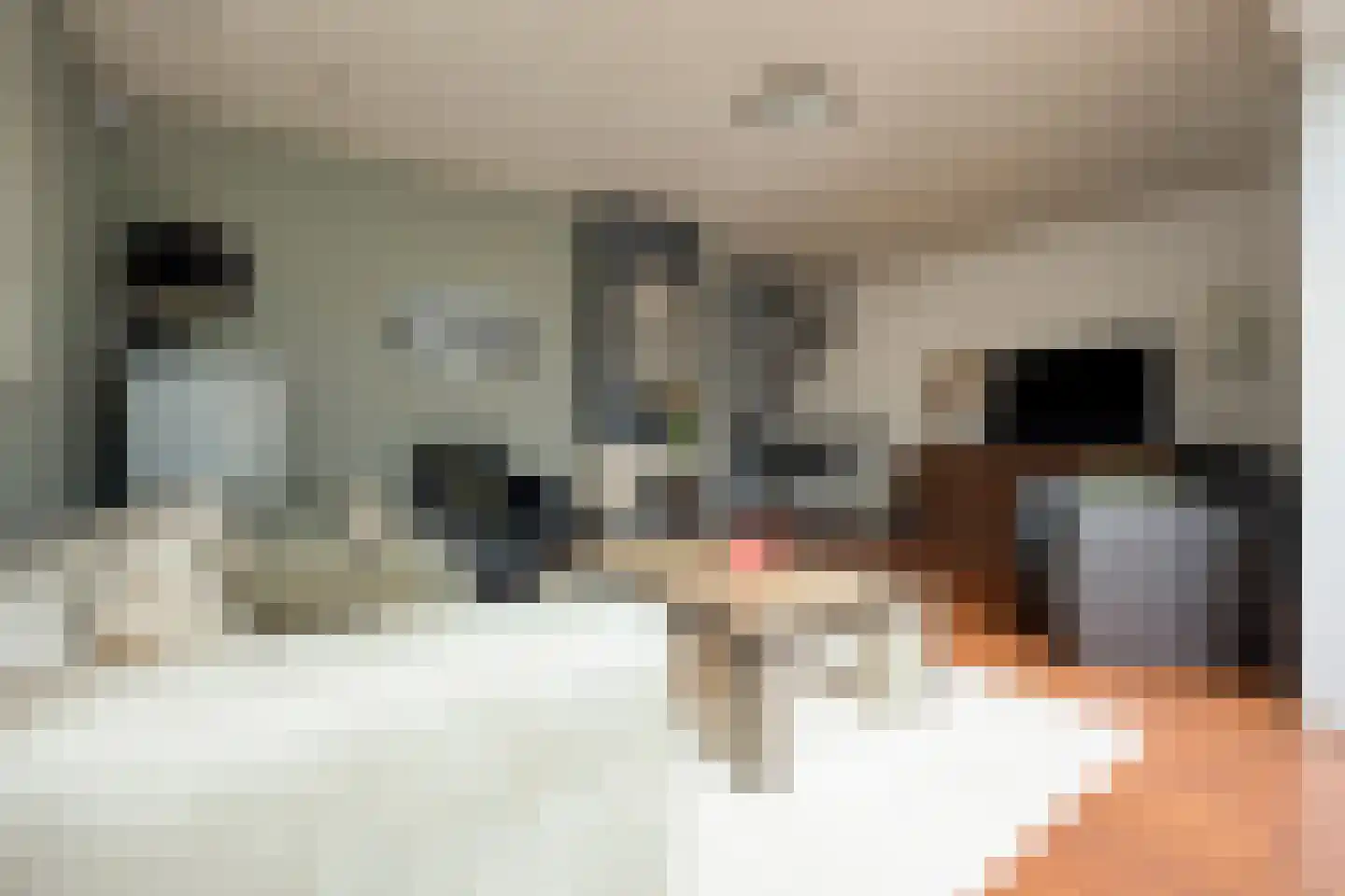 Zwanendreef 6 Stolwijk thumbnail 5
