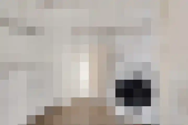 Zwanendrift 5 Delfzijl thumbnail 22