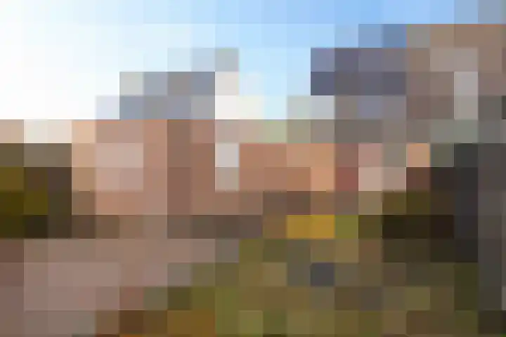 Zwanendrift 5 Delfzijl thumbnail 40