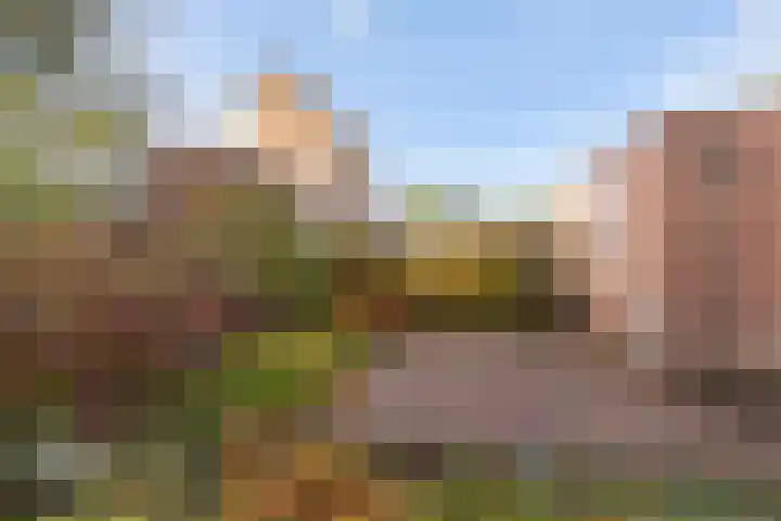 Zwanendrift 5 Delfzijl thumbnail 41