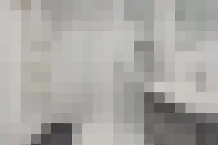 Zwanendrift 5 Delfzijl thumbnail 5