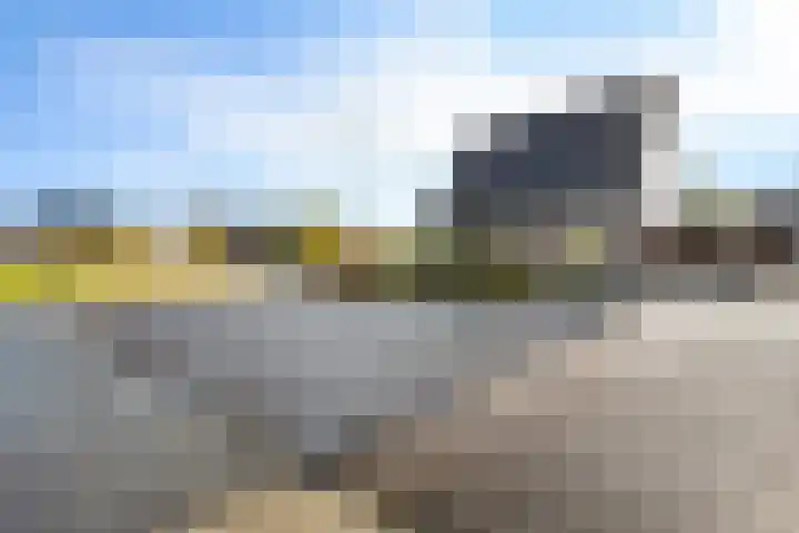 Zwanendrift 5 Delfzijl thumbnail 6