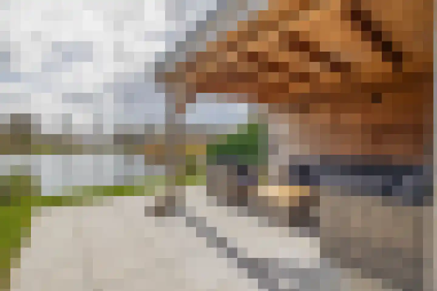 Zwaneneiland 5 Meerstad thumbnail 31