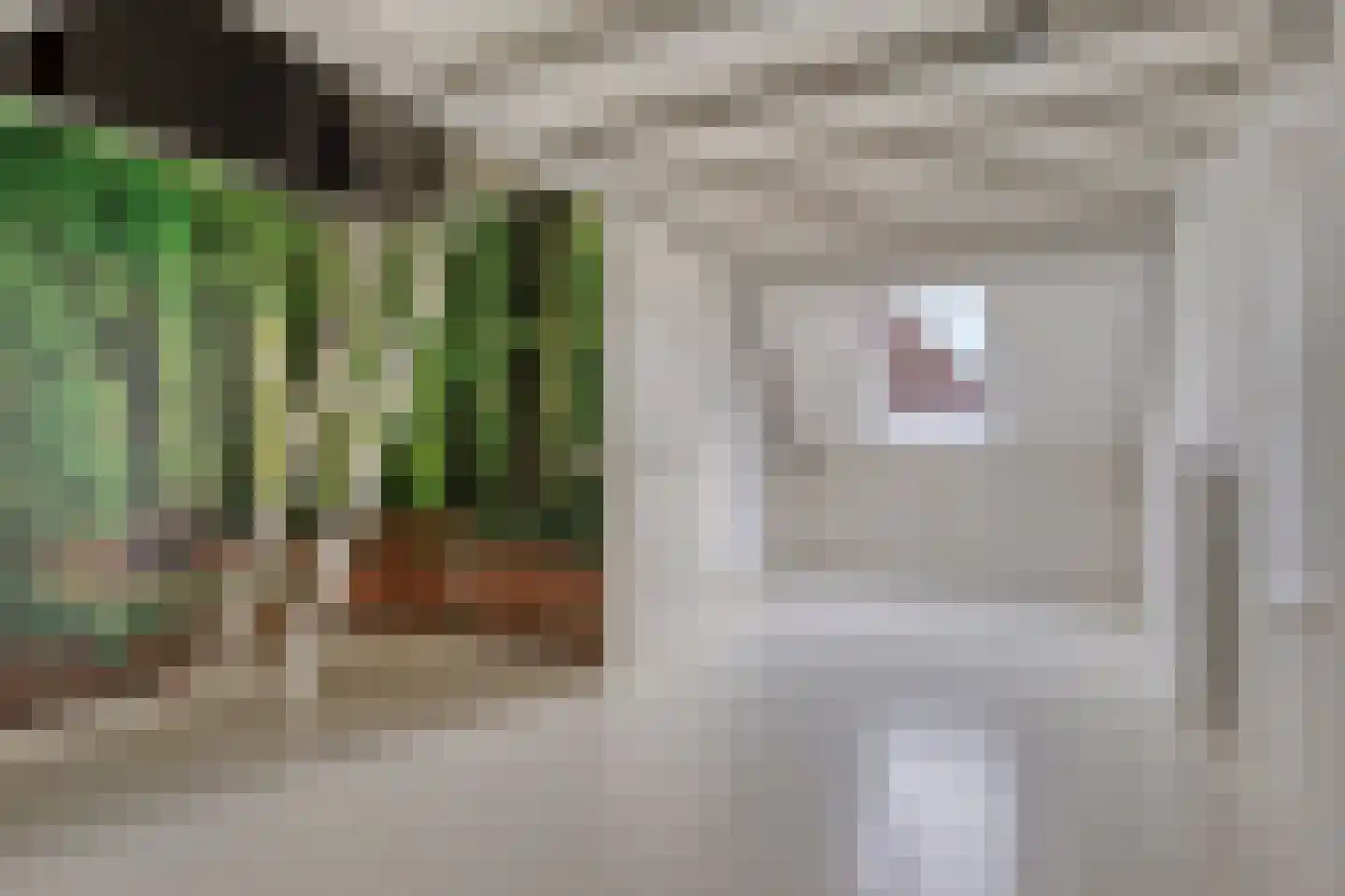 Zwanenhof 22 Gemert thumbnail 18