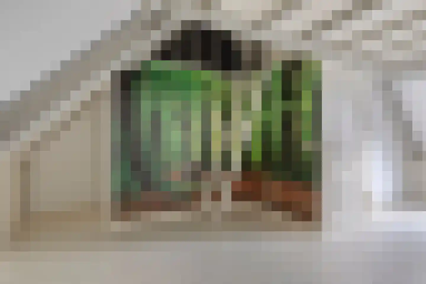 Zwanenhof 22 Gemert thumbnail 19