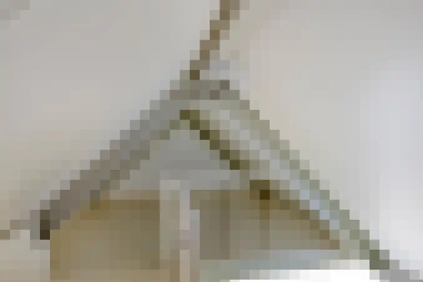 Zwanenhof 22 Gemert thumbnail 20