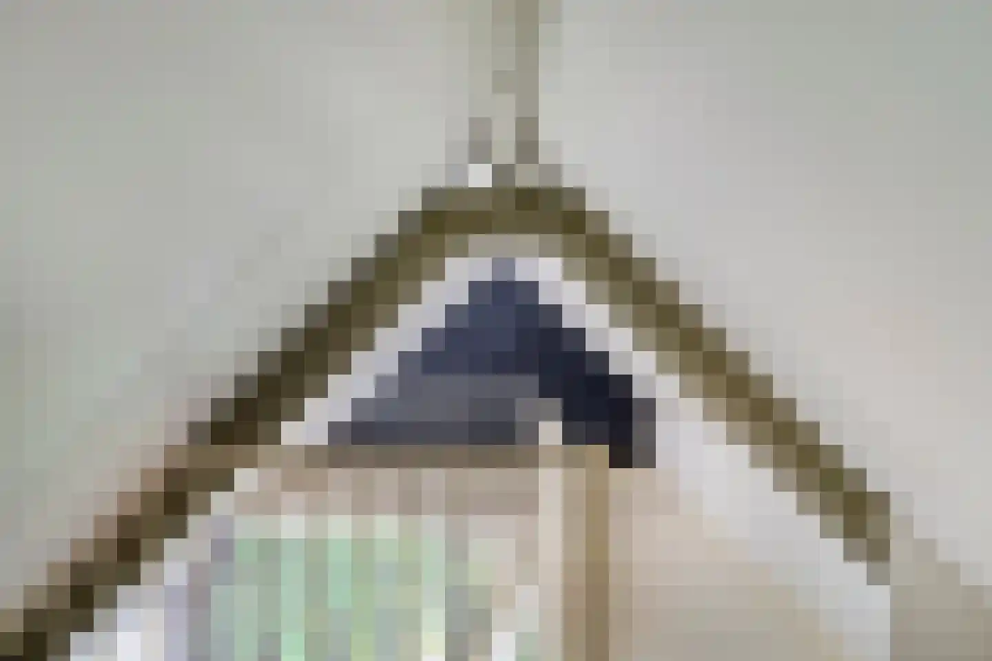 Zwanenhof 22 Gemert thumbnail 21