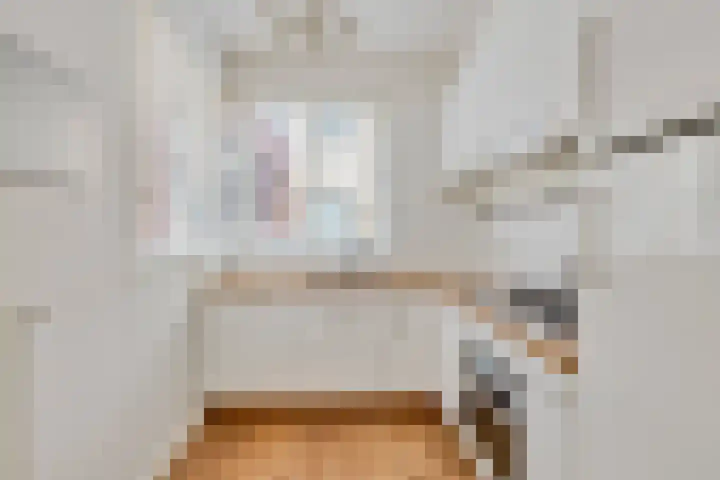 Zwanenhof 22 Gemert thumbnail 8