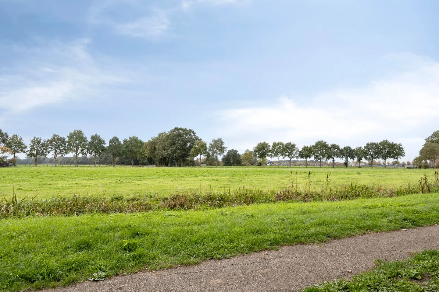 Zwanenhorst 62 Grave thumbnail 35