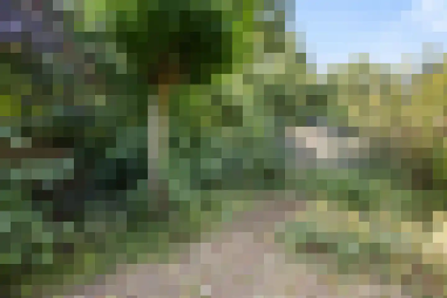 Zwanenhorst 94 Grave thumbnail 37