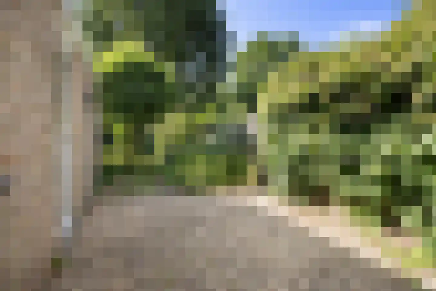 Zwanenhorst 94 Grave thumbnail 38