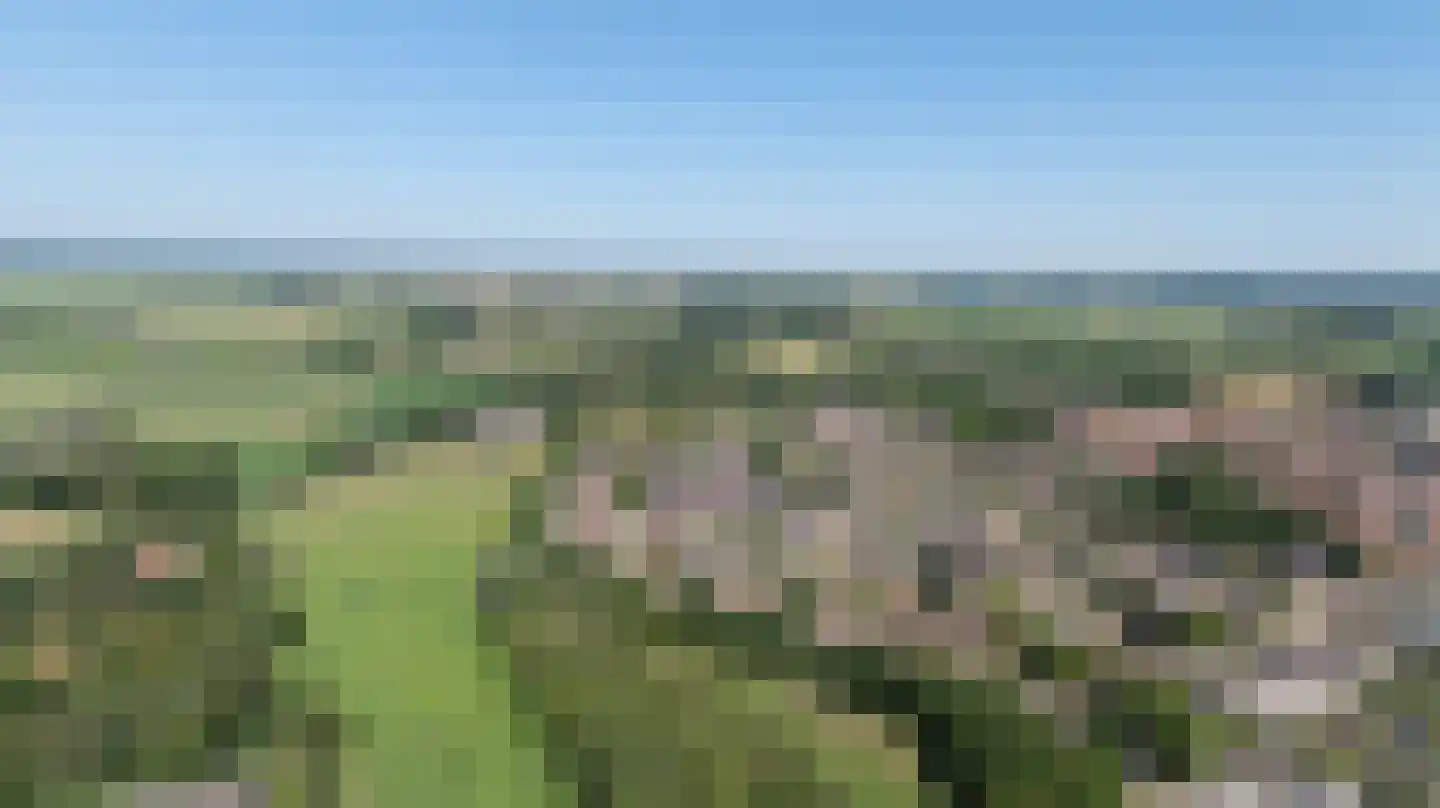 Zwanenhorst 94 Grave thumbnail 45