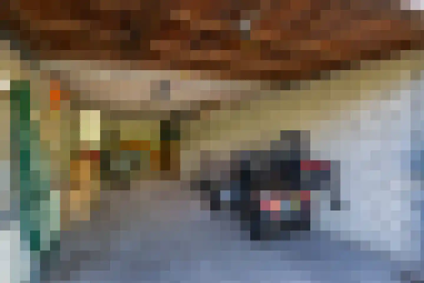 Zwanenkade 126 Krimpen aan den IJssel thumbnail 32