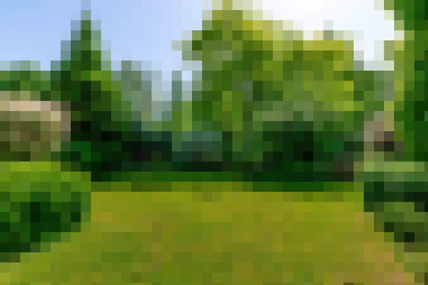 Zwanenkade 126 Krimpen aan den IJssel thumbnail 4