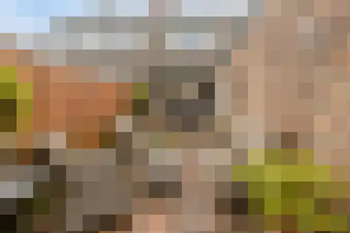 Zwanenkade 13 Krimpen aan den IJssel thumbnail 28