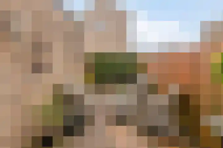 Zwanenkade 13 Krimpen aan den IJssel thumbnail 32