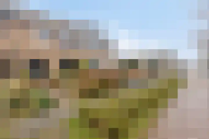 Zwanenkade 13 Krimpen aan den IJssel thumbnail 36