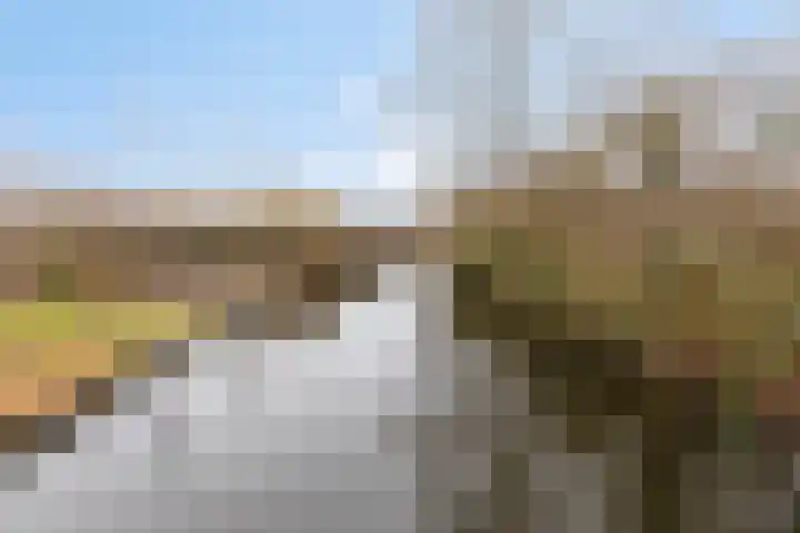Zwanenkade 13 Krimpen aan den IJssel thumbnail 37