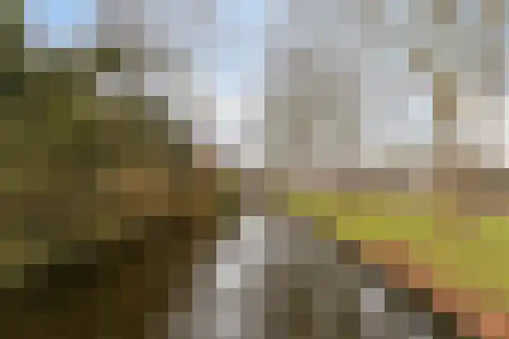 Zwanenkade 13 Krimpen aan den IJssel thumbnail 38