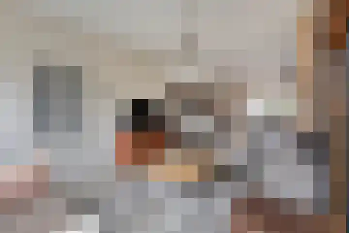 Zwanenkade 13 Krimpen aan den IJssel thumbnail 5