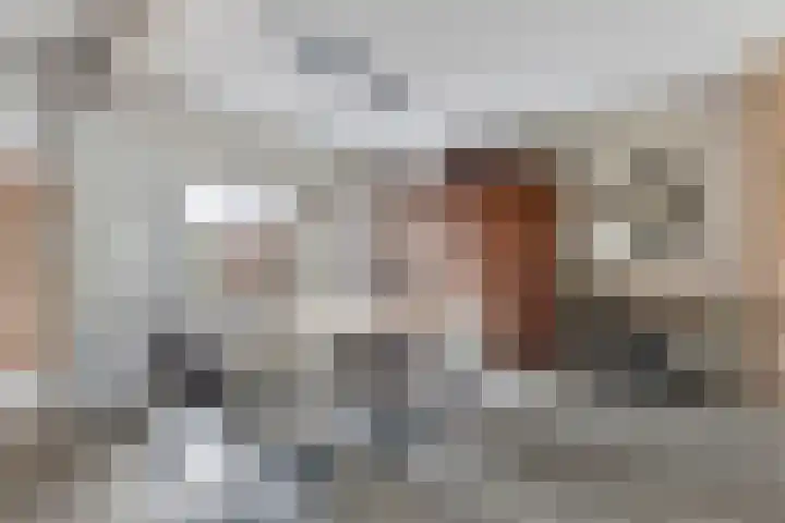 Zwanenkade 13 Krimpen aan den IJssel thumbnail 6
