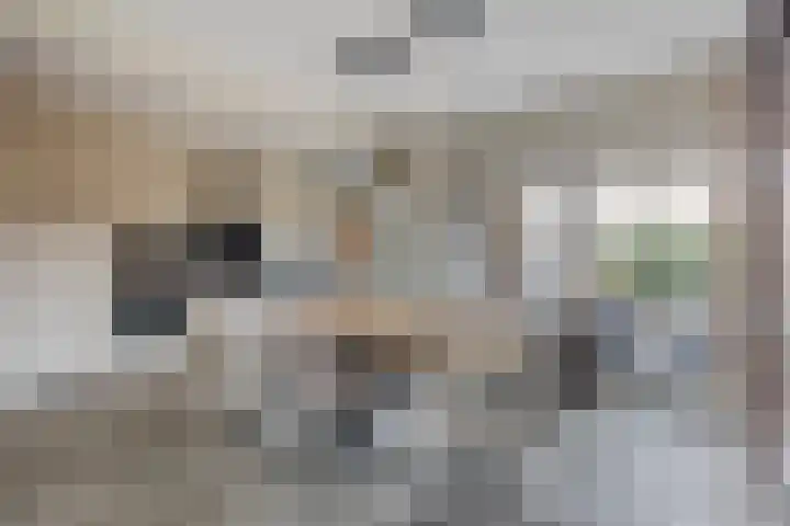 Zwanenkade 13 Krimpen aan den IJssel thumbnail 8