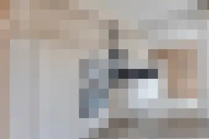 Zwanenkade 13 Krimpen aan den IJssel thumbnail 9